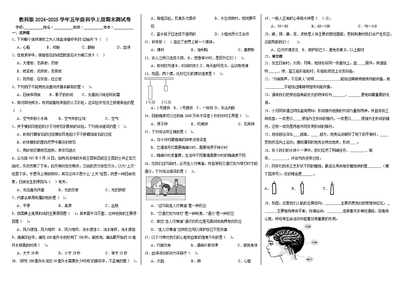 教科版2024-2025学年五年级科学上册期末测试卷第1页