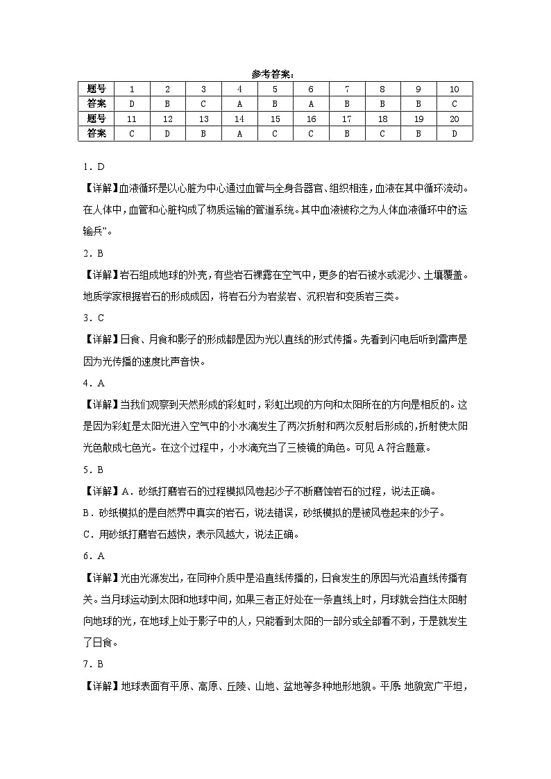 教科版2024-2025学年五年级科学上册期末测试卷第3页