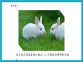 【大單元核心素養(yǎng)】大象版科學(xué)一上2.2《常見的動(dòng)物》單元整體設(shè)計(jì)+課件+教案+素材
