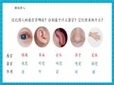 【大單元核心素養(yǎng)】蘇教版科學一上2.5《借助工具觀察》單元整體設計+課件+教案+素材