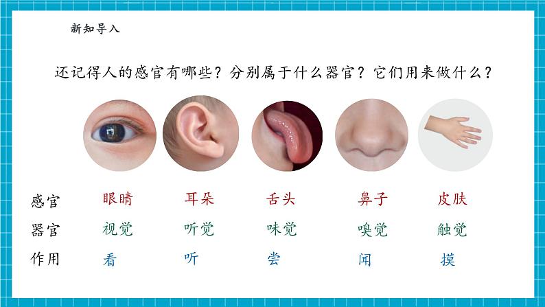 【大单元整体教学】2.5《借助工具观察》课时课件第4页