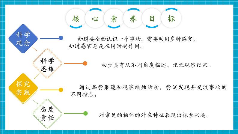 【大单元整体教学】2.6《感官总动员》课时课件第3页