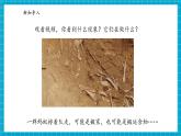 【大单元核心素养】苏教版科学一上3.7《事实与猜想》单元整体设计+课件+教案+素材