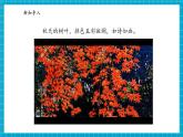 【大单元核心素养】苏教版科学一上3.9《探究秋叶的秘密》单元整体设计+课件+教案+素材