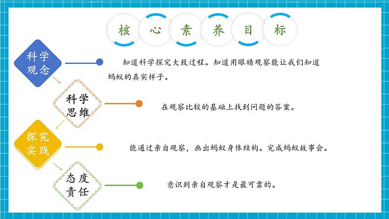 【大单元整体教学】大象版一上体验单元《画蚂蚁》课时课件第3页