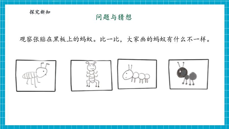 【大单元整体教学】大象版一上体验单元《画蚂蚁》课时课件第8页