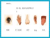 【大单元核心素养】大象版科学一上1.2《感官的本领》单元整体设计+课件+教案+素材