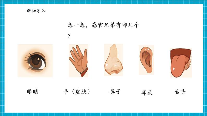 【大单元整体教学】1.2《感官的本领》课时课件第4页