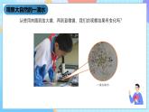 湘科版科学五下1.1《神奇的显微镜》课件