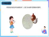 湘科版科学五下1.2《洋葱表皮的秘密》课件