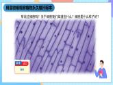湘科版科学五下1.3《细胞》课件