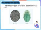 湘科版科学五下1.3《细胞》课件