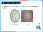 湘科版科学五下1.3《细胞》课件