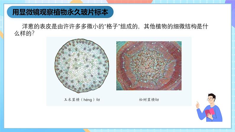 湘科版科学五下1.3《细胞》课件第5页