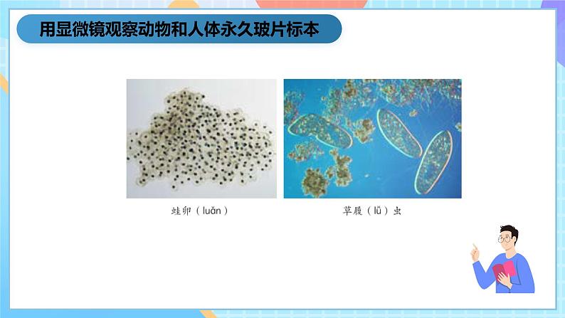 湘科版科学五下1.3《细胞》课件第8页