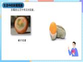 湘科版科学五下2.1《发霉和发酵》课件