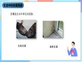 湘科版科学五下2.1《发霉和发酵》课件