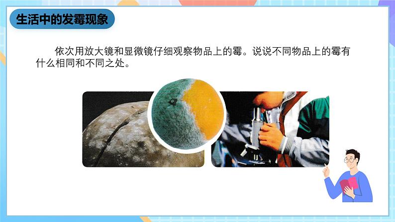 湘科版科学五下2.1《发霉和发酵》课件第8页