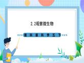 湘科版科学五下2.2《观察微生物》课件