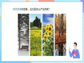 湘科版科學(xué)五下4.3《四季的形成》課件