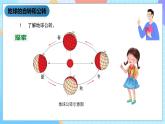 湘科版科學(xué)五下4.3《四季的形成》課件