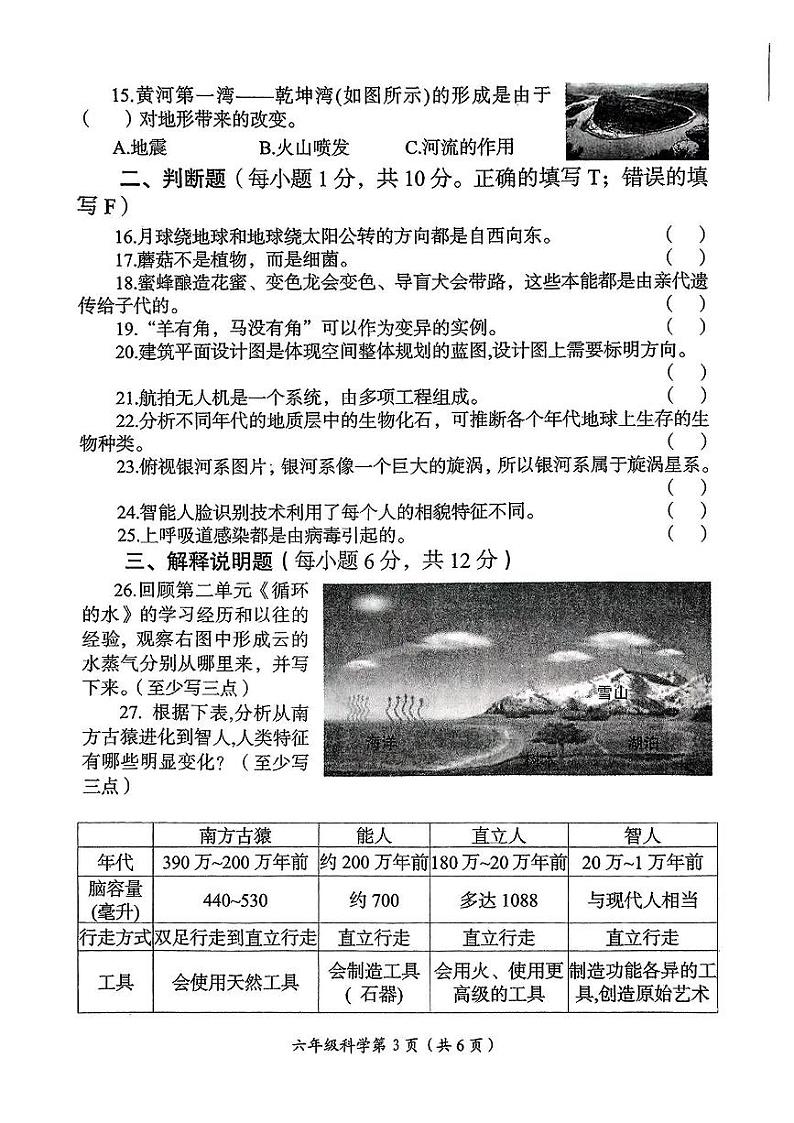 2024-2025学年洛阳市六年级上学期期末科学试卷第3页