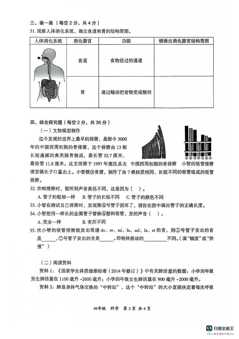 广东省深圳市坪山区2024-2025学年四年级上学期1月期末科学试题第3页