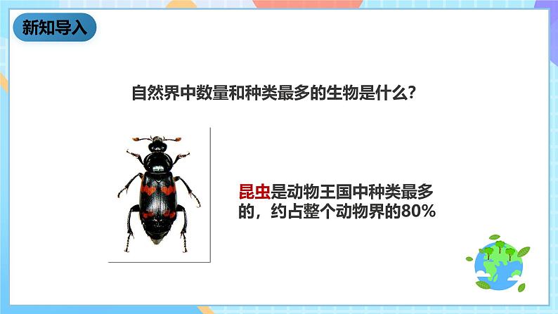 科教版科学六下1.2《放大镜下的昆虫世界》课件第2页