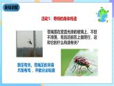 教科版科学六下1.2《放大镜下的昆虫世界》课件+教案+练习+素材