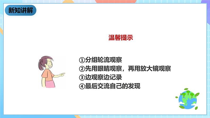 科教版科学六下1.2《放大镜下的昆虫世界》课件第7页