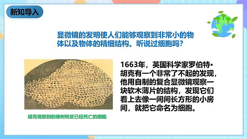 教科版科学六下1.5《用显微镜观察身边的生命世界（一）课件第2页