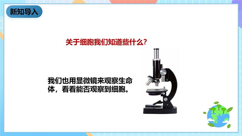 教科版科学六下1.5《用显微镜观察身边的生命世界（一）课件第3页