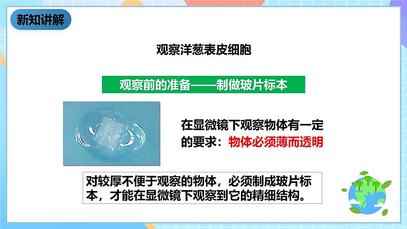 教科版科学六下1.5《用显微镜观察身边的生命世界（一）课件第4页