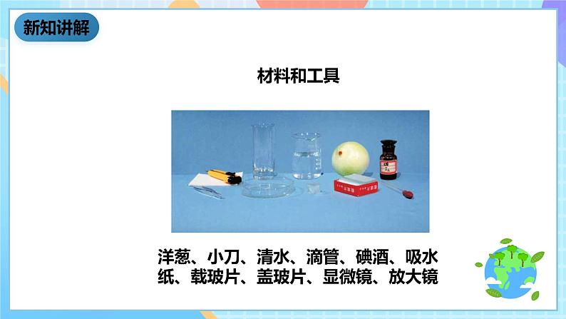 教科版科学六下1.5《用显微镜观察身边的生命世界（一）课件第5页