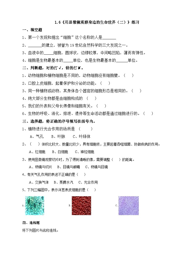 教科版科学六下1.6《用显微镜观察身边的生命世界（二）》练习第1页