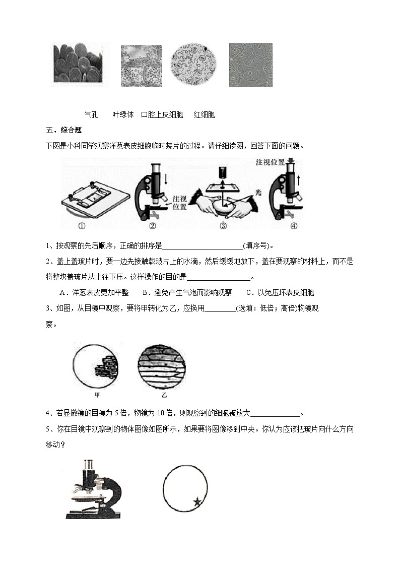 教科版科学六下1.6《用显微镜观察身边的生命世界（二）》练习第2页