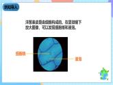 教科版科学六下1.6《用显微镜观察身边的生命世界（二）》课件+教案+练习+素材