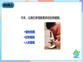 教科版科学六下1.6《用显微镜观察身边的生命世界（二）》课件+教案+练习+素材