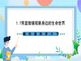 教科版科学六下1.7《用显微镜观察身边的生命世界（三）》课件+教案+练习+素材