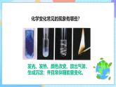 教科版科学六下2.8《物质的变化与我们》课件+教案+练习+素材