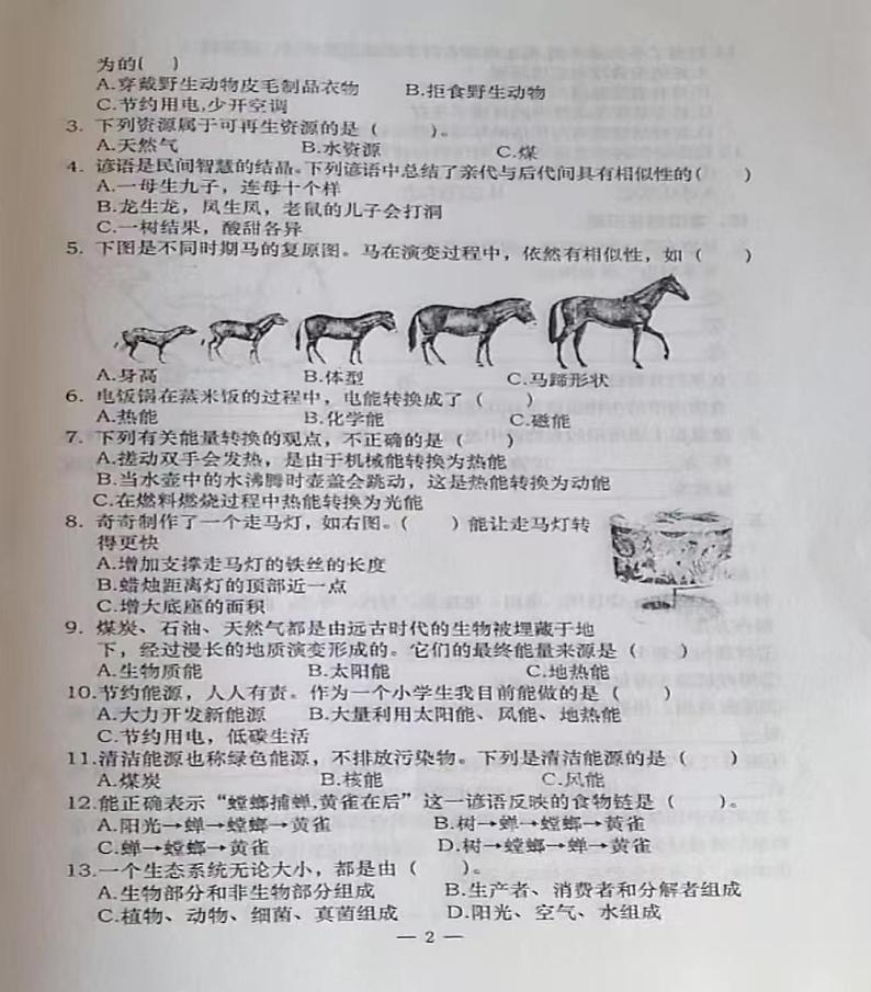 河北省承德市隆化县2024-2025学年六年级上学期期末考试科学试题第2页