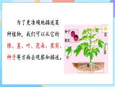 人教鄂教版（2017）四下 3.10《不同环境中的植物》课件+素材