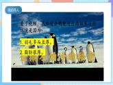 人教鄂教版（2017）四下 3.11《不同环境中的动物》课件＋素材