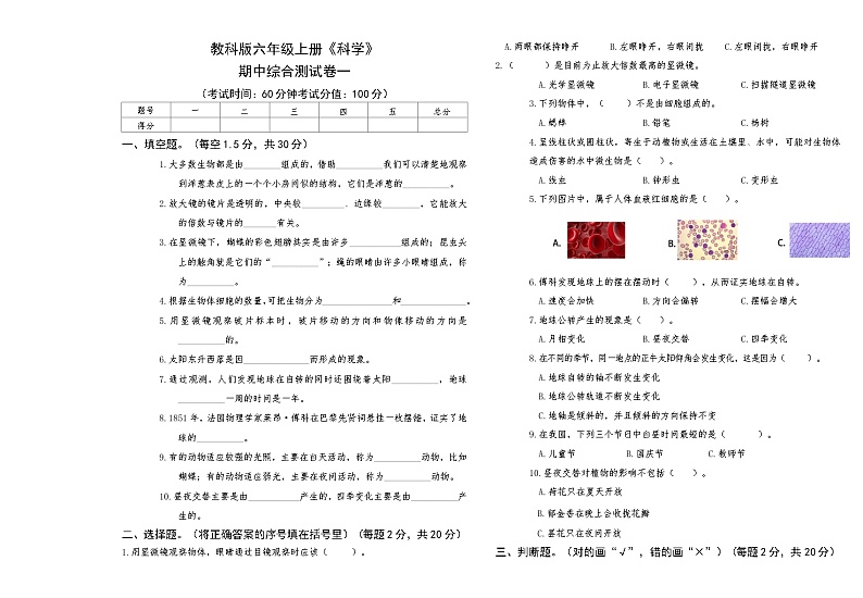 教科版六年级上册《科学》期中测试卷一【A3版，后附答案】第1页