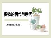人教版五年级上册科学6.植物的后代与亲代教学课件