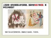 人教版五年级上册科学6.植物的后代与亲代教学课件