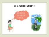 人教版五年级上册科学6.植物的后代与亲代教学课件