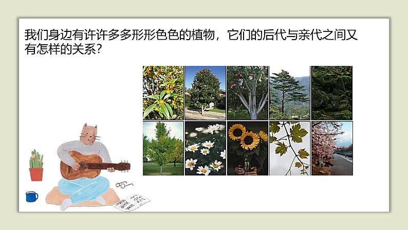 人教版五年级上册科学6.植物的后代与亲代教学课件第6页