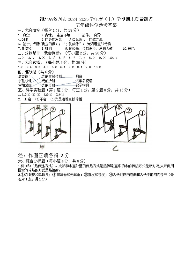 湖北省汉川市2024-2025学年度（上）学期期末质量测评五年级科学参考答案第1页