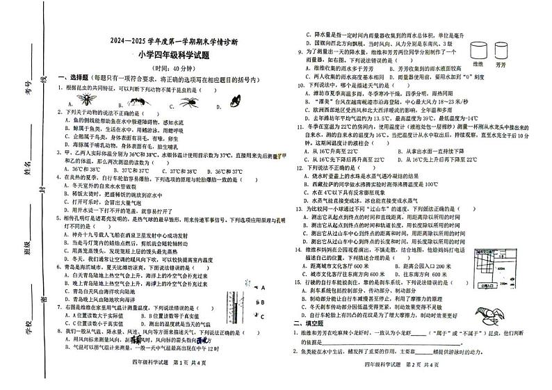 山东潍坊2024-2025上学期四年级期末试题.第1页